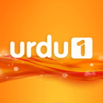 Urdu1 TV Official – Watch Hit Pakistani Dramas on Urdu1 HD